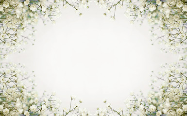 White flowers background