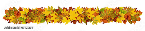 Autumn garland fron colorful leaves and berries