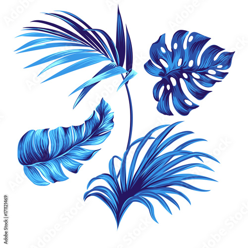 vector tropical leaves, isolated objects for use.