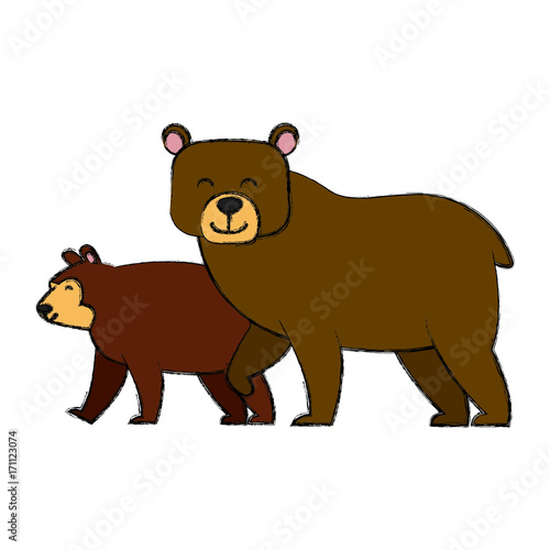 bear cartoon animal icon vector illustration graphic design