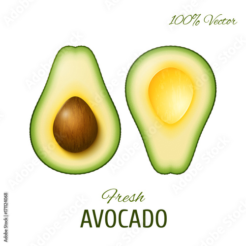 Vector realistic two slices of ripe avocado. One slice with core. Design element isolated on white background