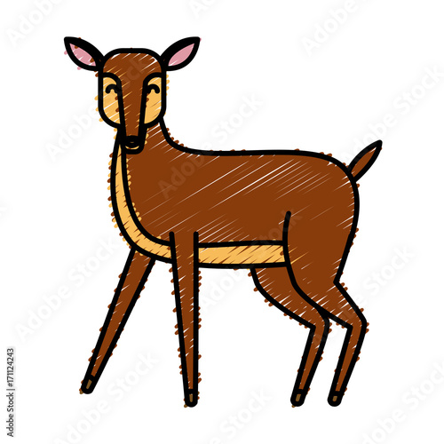 Deer animal cartoon icon vector illustration graphic design