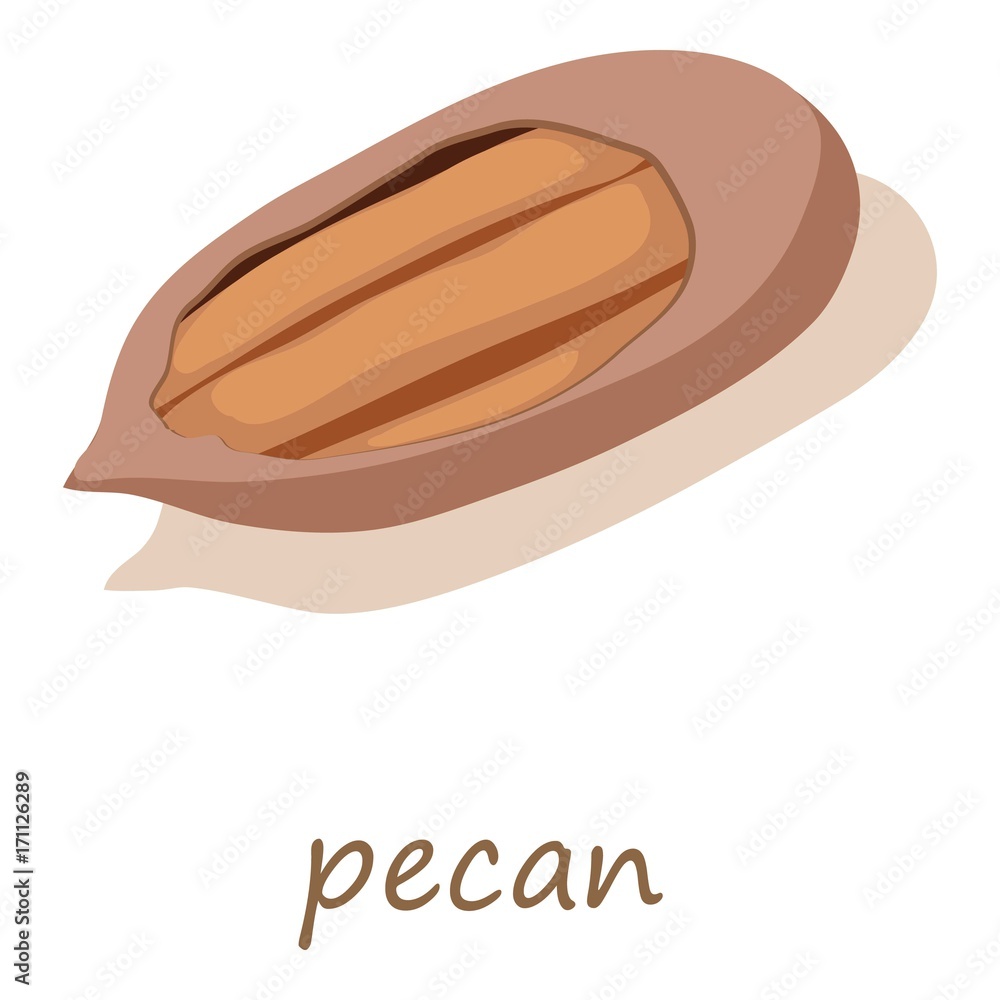 Pecan icon, isometric 3d style Pecan icon, isometric 3d style