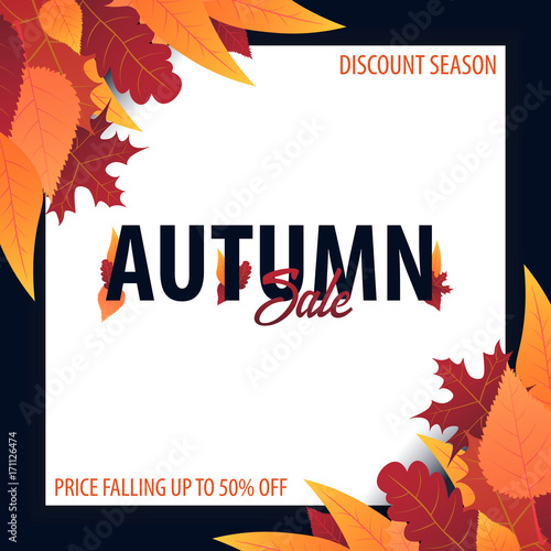 Autumn Background with leaves for shopping sale or promo poster and frame leaflet or web banner. Vector illustration template.