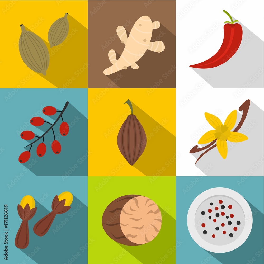 Herbs and spices icon set, flat style