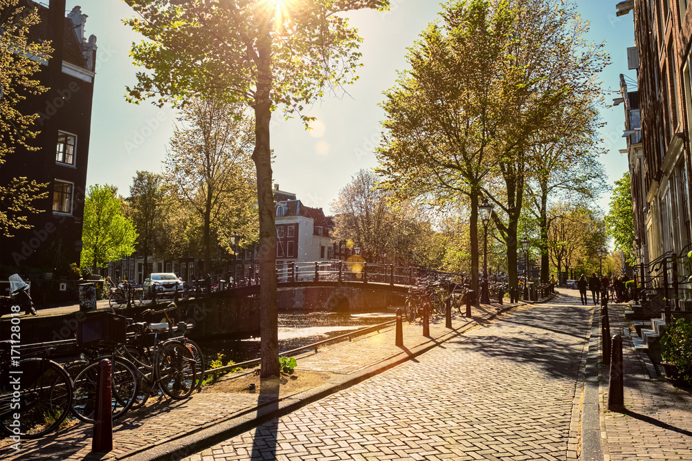 Obraz premium Amsterdam street with canal