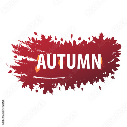 Autumn Background with leaves for shopping sale or promo poster and frame leaflet or web banner. Vector illustration template.