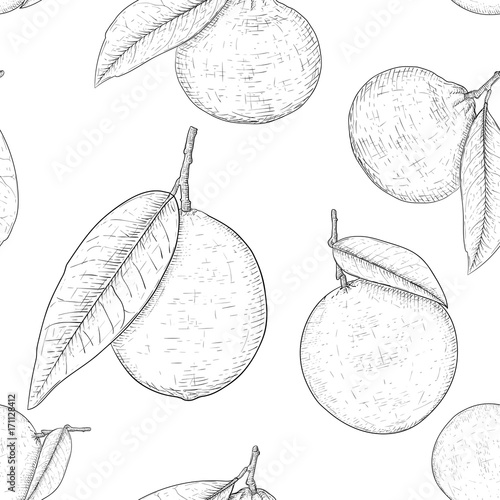 Citrus mix - lemon, lime fruit, orange, mandarin orange. Black and white hand drawn sketch as seamless pattern