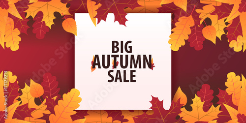 Autumn Background with leaves for shopping sale or promo poster and frame leaflet or web banner. Vector illustration template.
