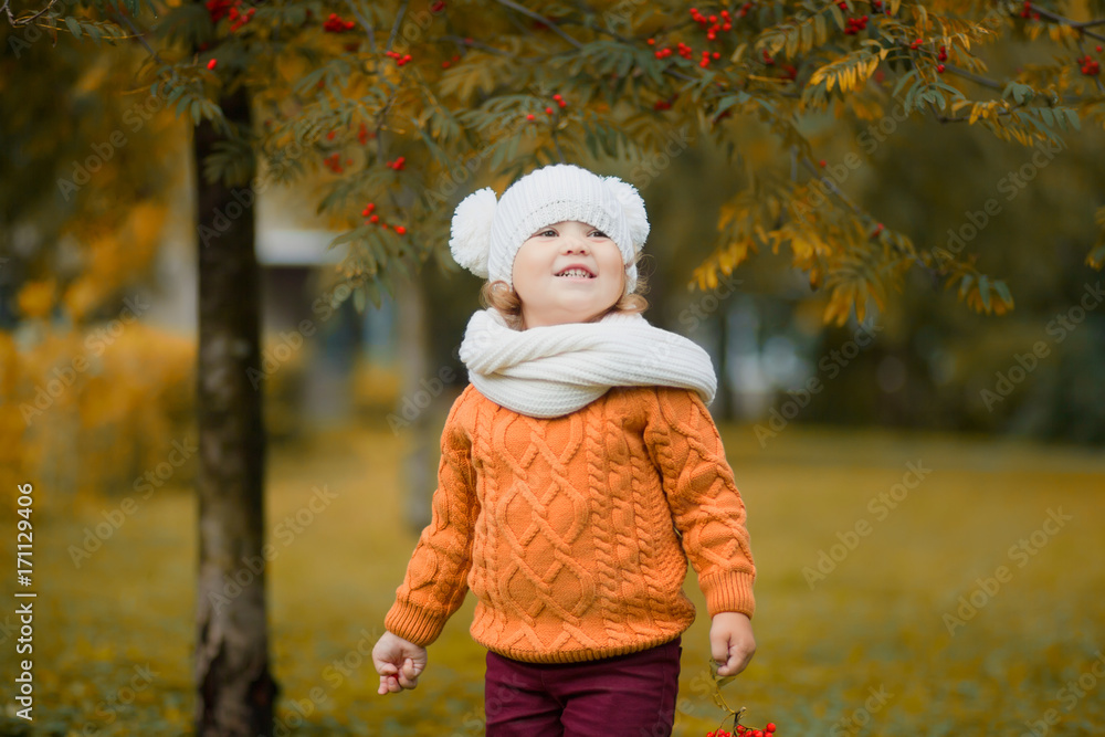Adorable toddler girl portrait on beautiful autumn day Adorable toddler girl portrait on beautiful autumn day