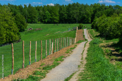 Fotografie Hiking trail in the natural forest area.