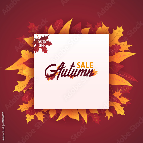 Autumn Background with leaves for shopping sale or promo poster and frame leaflet or web banner. Vector illustration template.