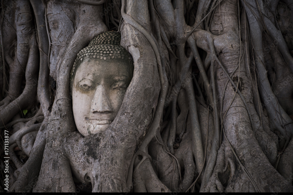 Smile Buddha head covered by tree root at wat Mahathat in Ayutthaya. Thailand Smile Buddha head covered by tree root at wat Mahathat in Ayutthaya. Thailand