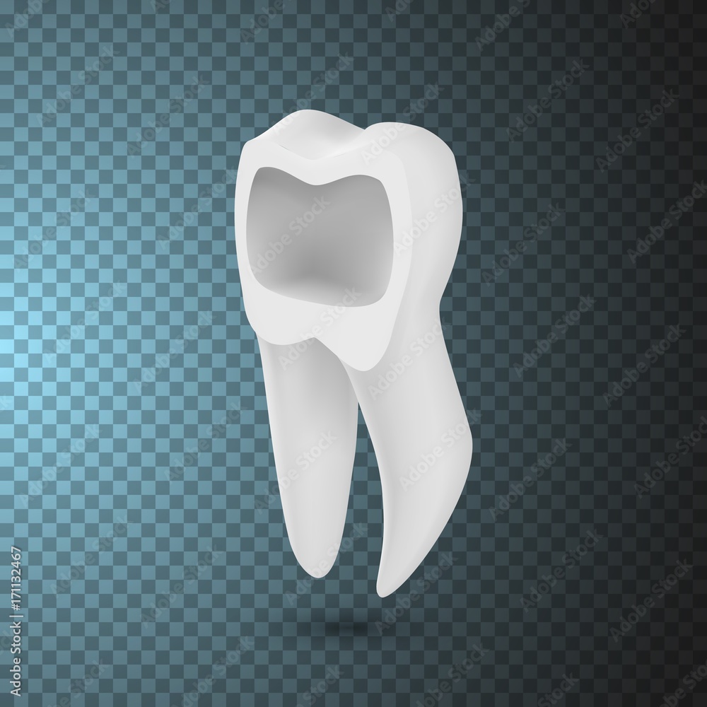 Illustration of Vector Tooth Icon. Realistic Teeth Isolated on Transparent Overlay Background Illustration of Vector Tooth Icon. Realistic Teeth Isolated on Transparent Overlay Background