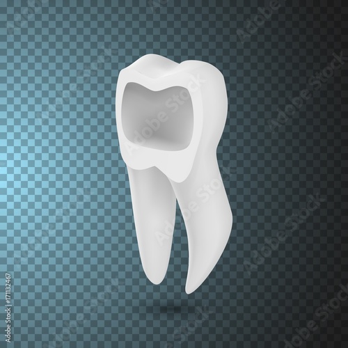 Illustration of Vector Tooth Icon. Realistic Teeth Isolated on Transparent Overlay Background