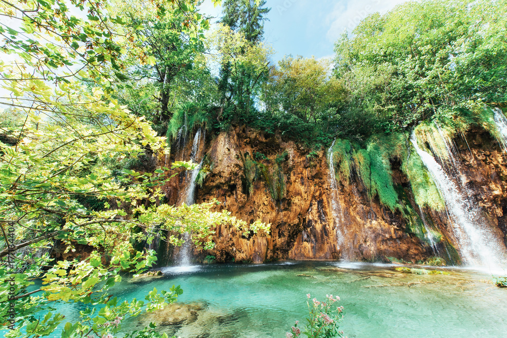 Fototapeta premium A photo of fishes swimming in a lake, taken in the national park Plitvice Croatia.