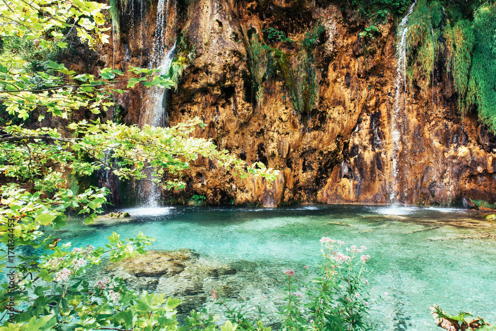 Fototapeta premium Zdjęcie ryb pływających w jeziorze, zrobione w Parku Narodowym Plitvice w Chorwacji.