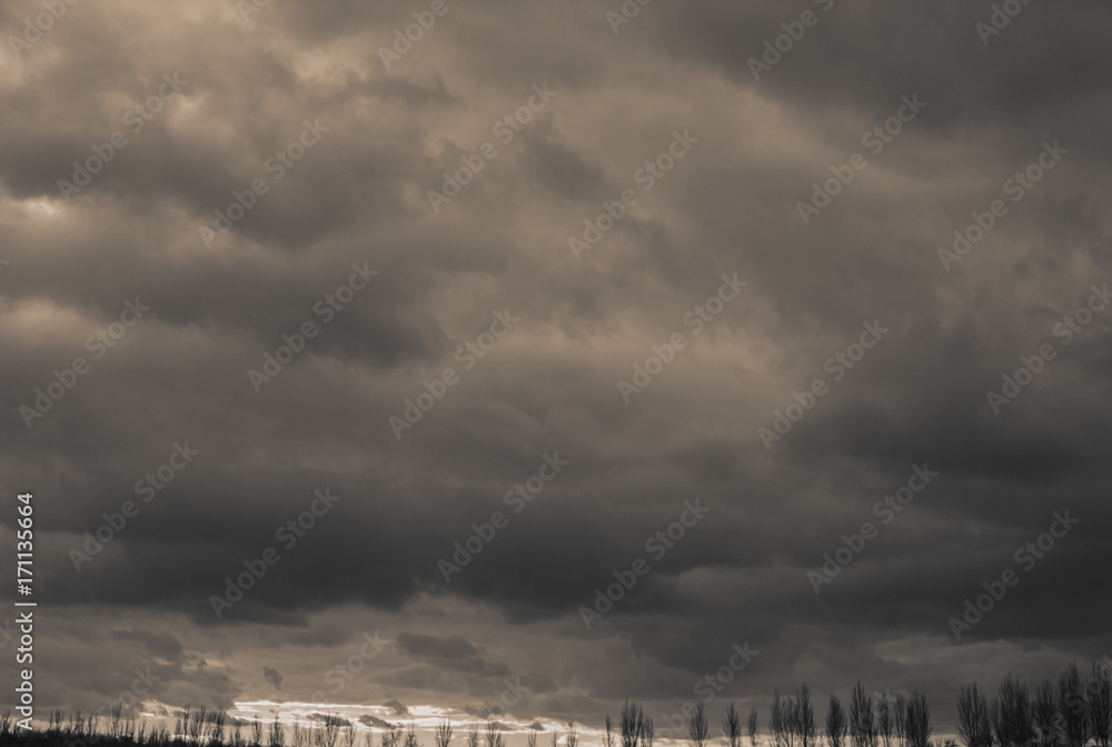 Clouds and trees, landscape in the countryside. Monochrome photo.