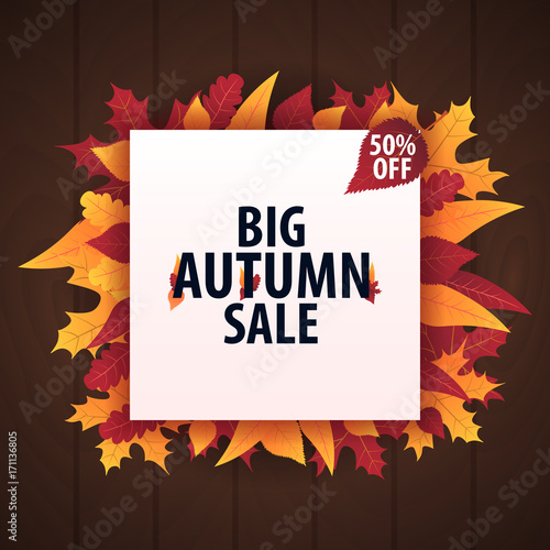 Autumn Background with leaves for shopping sale or promo poster and frame leaflet or web banner. Vector illustration template.