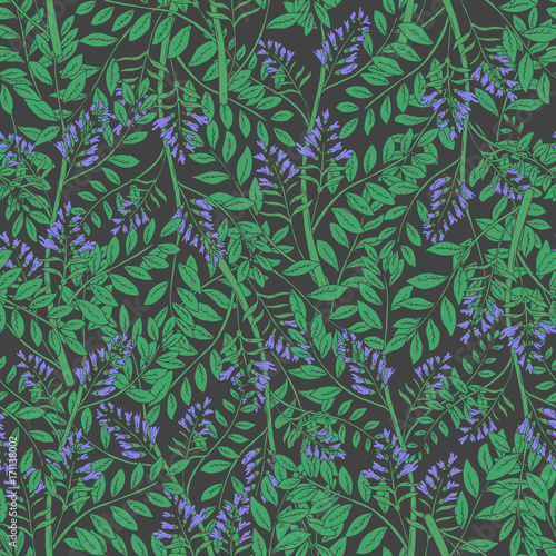 Elegant floral seamless pattern with licorice inflorescences, stems and leave...
