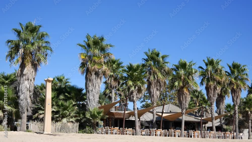 shore with palm trees in the Mediterranean Sea shore with palm trees in the Mediterranean Sea