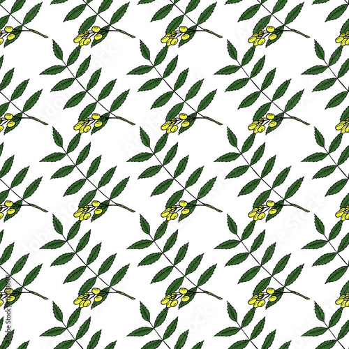 Neem in color, seamless 3