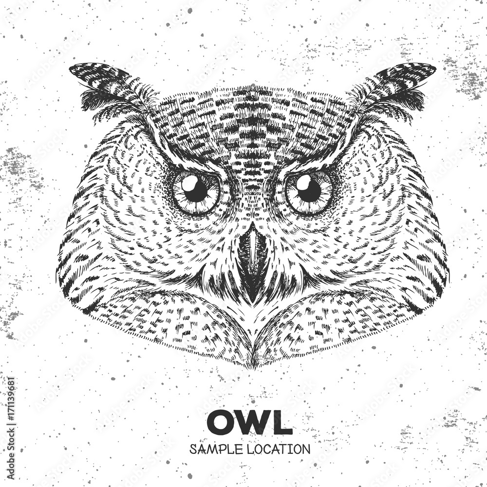 Obraz premium Hipster bird owl. Hand drawing Muzzle of bird owl