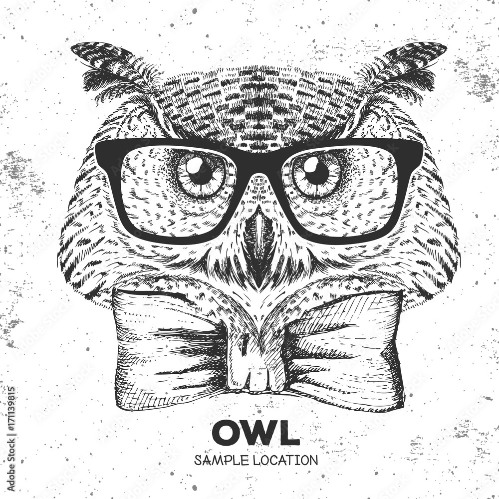 Fototapeta premium Hipster bird owl. Hand drawing Muzzle of bird owl