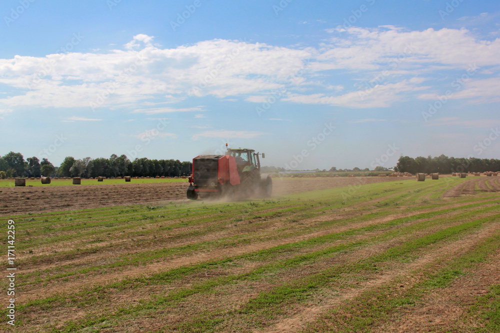 Fototapeta premium Récolte du lin