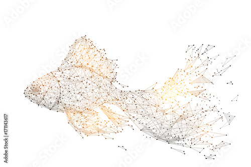 Abstract polygonal magic gold fish isolated on white background. Low poly wireframe vector illustration. Digital image concept mash line and point with destruct shapes.