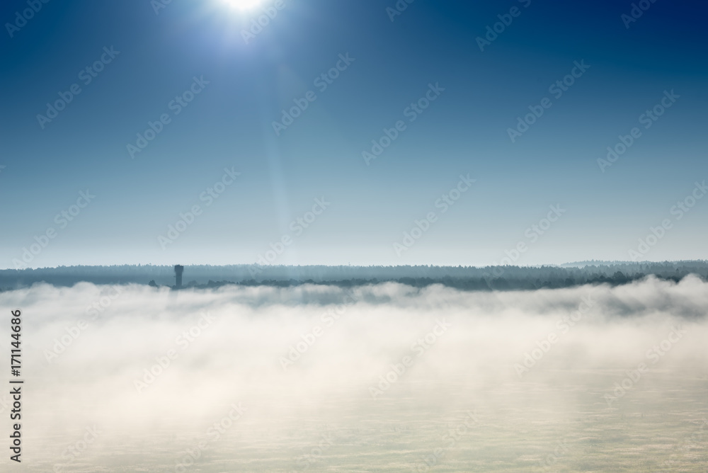 thick morning fog on the summer field. the dense forest on the horizon. Morning landscape in summer thick fog thick morning fog on the summer field. the dense forest on the horizon. Morning landscape in summer thick fog