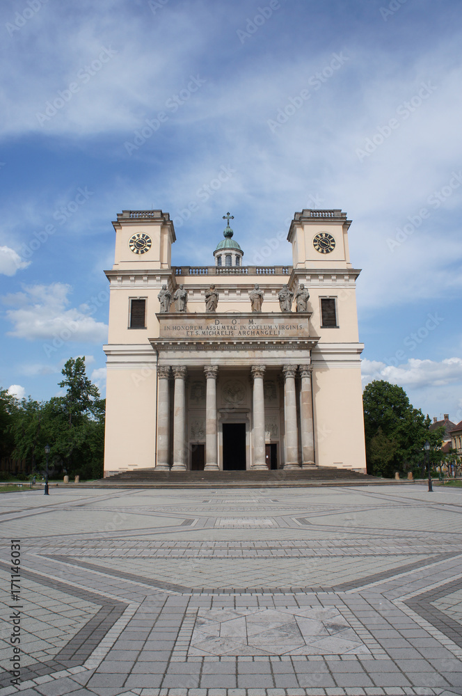 Obraz premium Assumption Cathedral in Vac