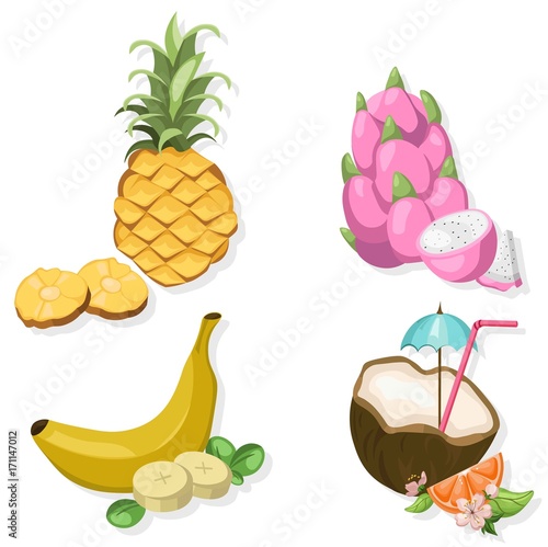 Tropic Fruits set collection illustration Vector