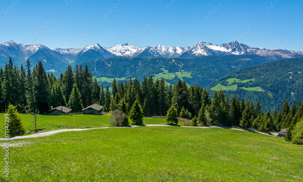 Mountain road nature panoramic landscape. Ridanna Valley, South Tyrol, Trentino Alto Adige, Italy