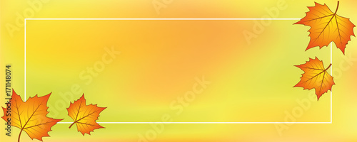 abstrakter herbstlaub hintergrund