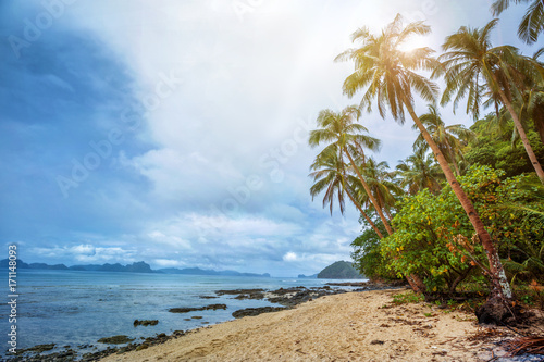 View of nice tropical beach with palms © Max Topchii