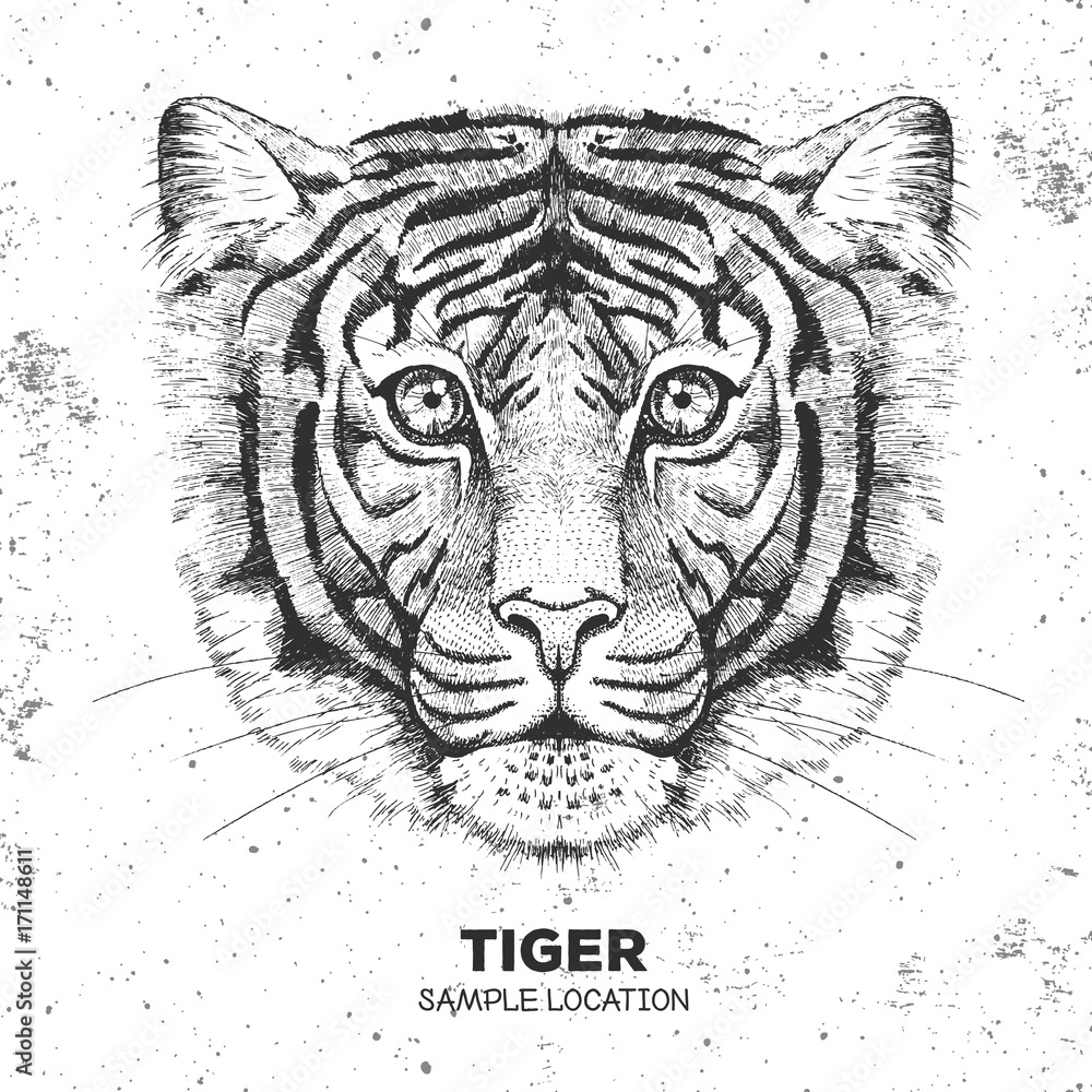 Hipster animal tiger. Hand drawing Muzzle of tiger