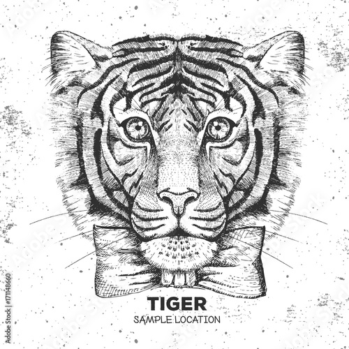 Hipster animal tiger. Hand drawing Muzzle of tiger