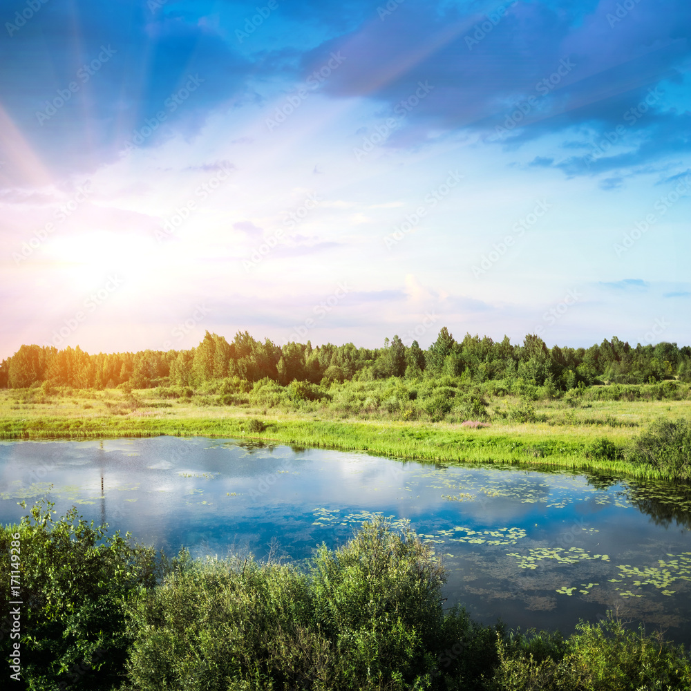 Fototapeta premium Summer beautiful landscape