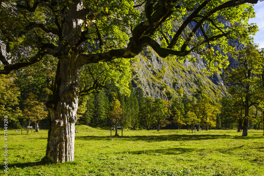 Fototapeta premium Grosser Ahornboden, Tirol, Austria