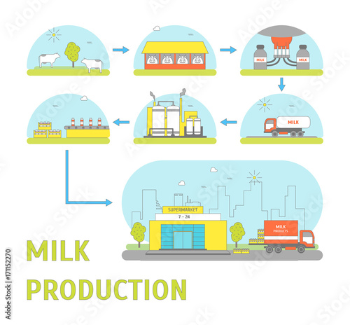 Milk Production Process. Vector