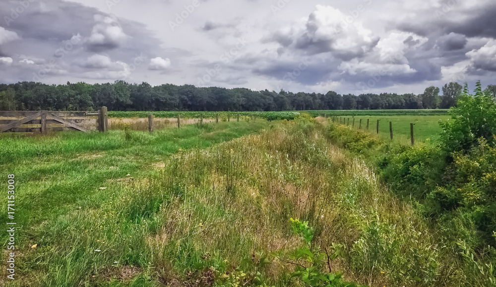 Dutch Nature Dutch Nature