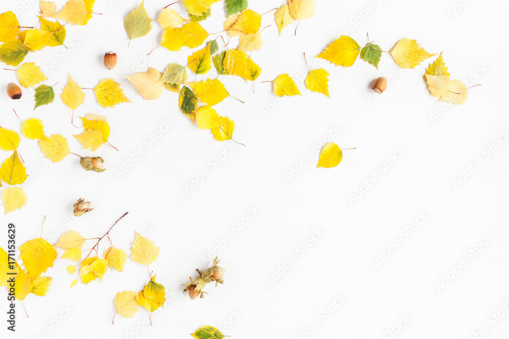 Autumn frame made of birch tree leaves, hazelnuts on white background. Autumn, fall concept. Flat lay, top view, copy space Autumn frame made of birch tree leaves, hazelnuts on white background. Autumn, fall concept. Flat lay, top view, copy space