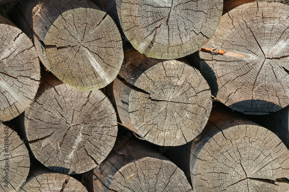 Naklejka premium Stacked firewoods (texture, background)