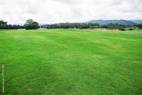 Green lawn with mountain background.