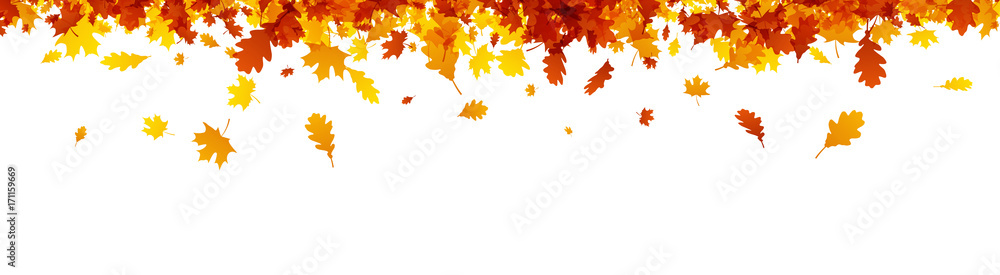 Autumn banner with orange leaves.