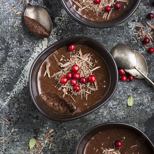 Homemade delicate chocolate mousse with cranberries and chocolate chips in serving ceramic bowls on a gray stone background. Top View. photo