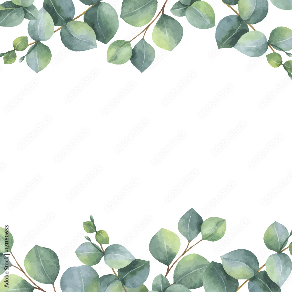 Watercolor vector green floral card with silver dollar eucalyptus leaves and branches isolated on white background.