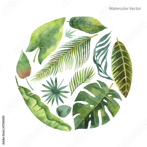 Watercolor vector card of tropical leaves and branches isolated on white background.