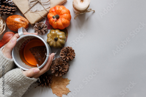 Autumn background. Hands holding cup of tea, autumn decoration on gray background